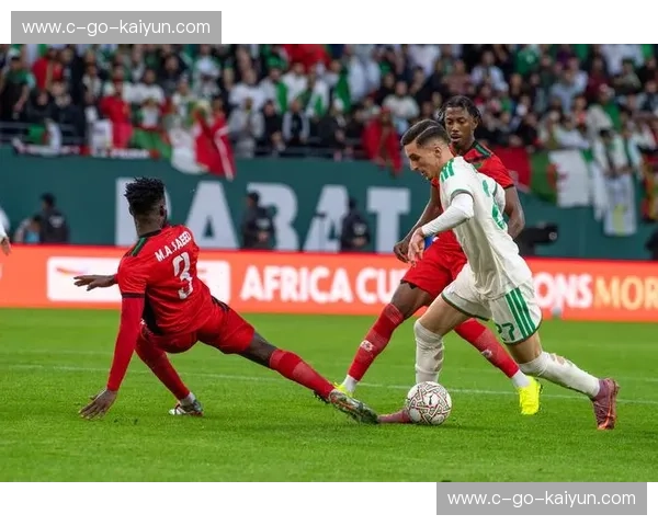 赤道之心的狂野与星条旗下的博弈：一场关于生存美学的深度对垒